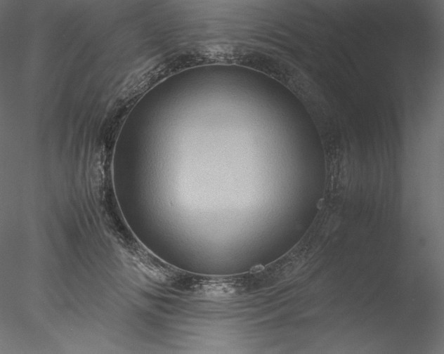 X0000077970702200611031334