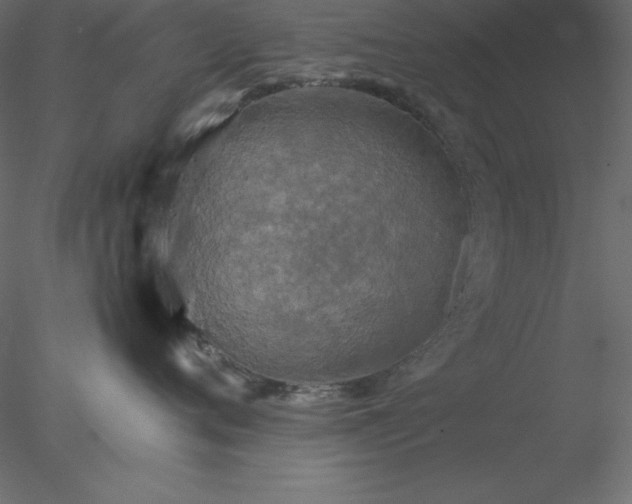 X0000077970720200611031334