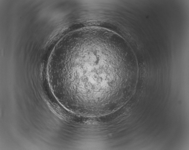 X0000077970742200611031333