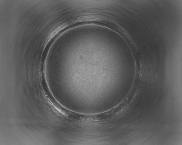 X0000077970786200611031332