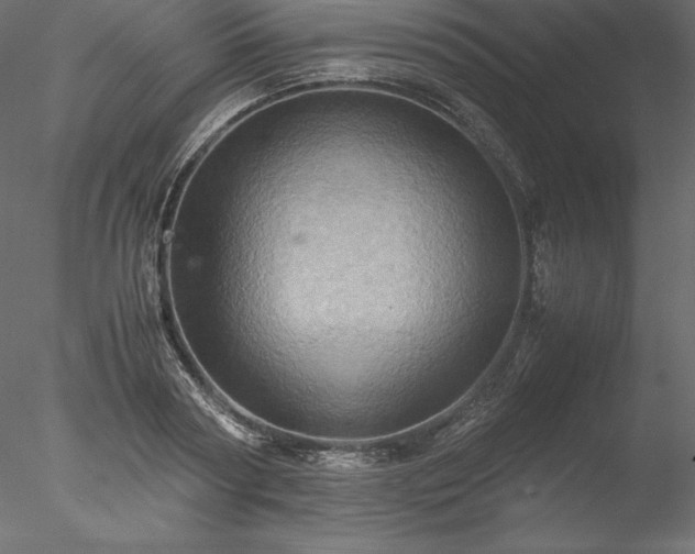X0000077970794200611031332