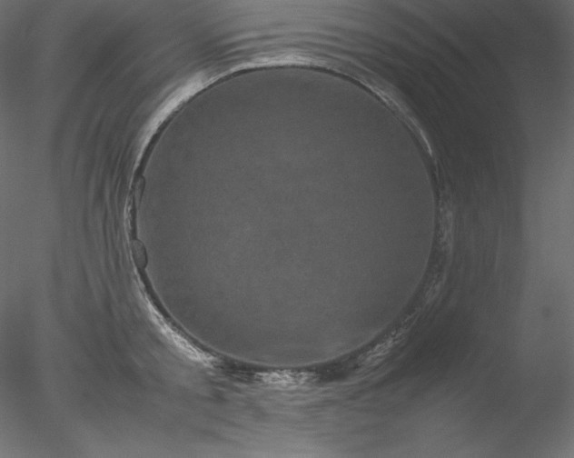 X0000077970805200611031332