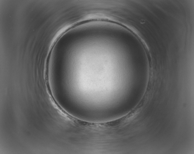 X0000077970815200611031332