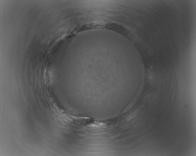 X0000077970818200611031331