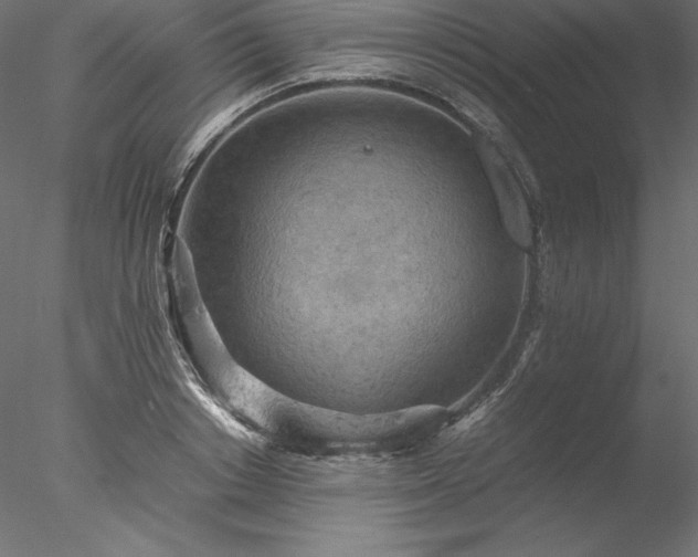 X0000077970842200611031331