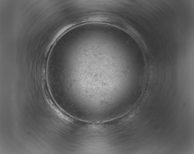 X0000077970852200611031332