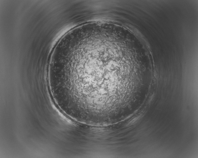 X0000077970855200611031332