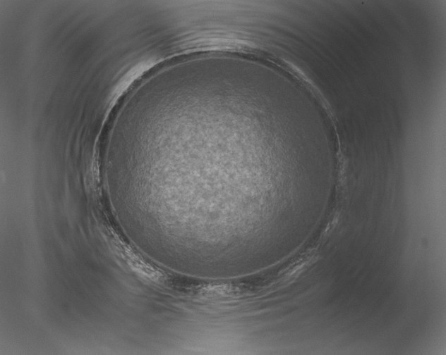 X0000077970883200611031331