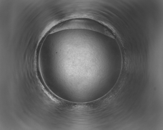 X0000077970894200611031331