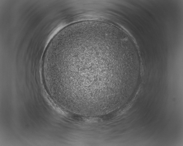 X0000077970899200611031330