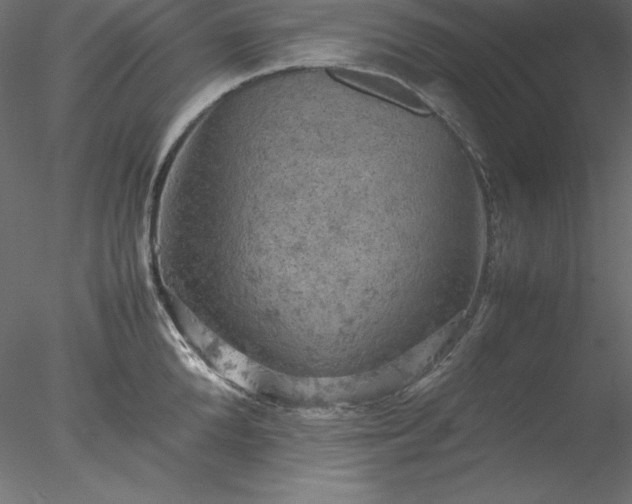 X0000077970904200611031330
