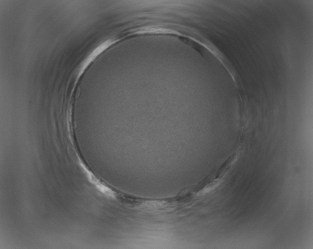 X0000077970909200611031330