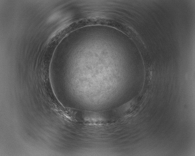 X0000077970919200611031330