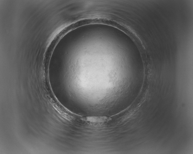 X0000077970927200611031330