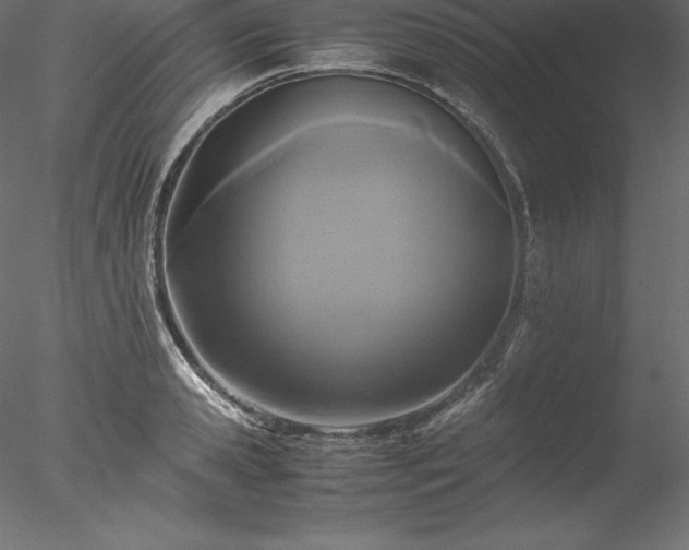 X0000077970941200611031330