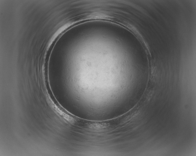 X0000077970947200611031330