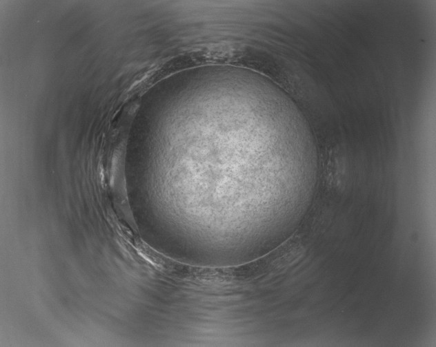 X0000077970962200611031329