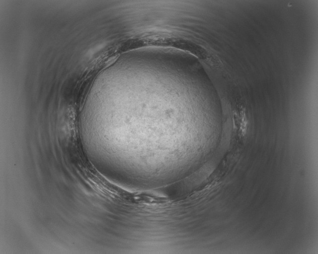 X0000077970964200611031329