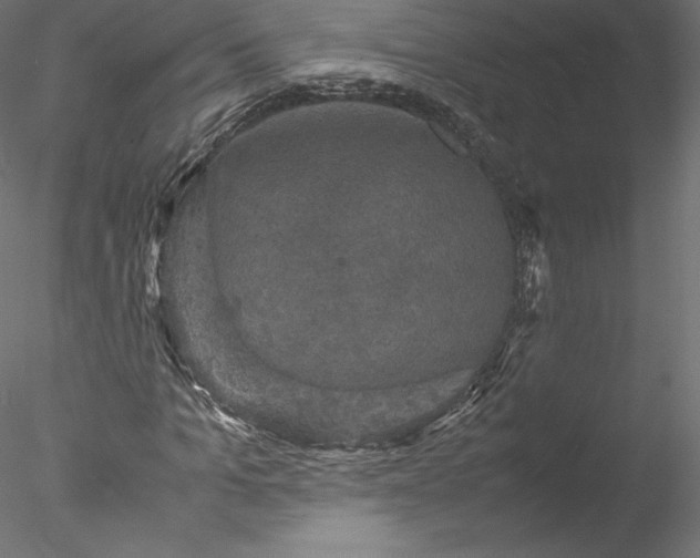 X0000077970965200611031329