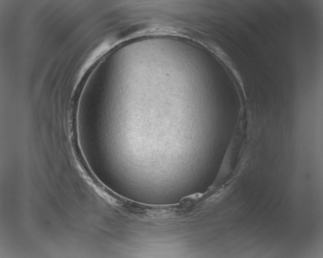 X0000077970997200611031329