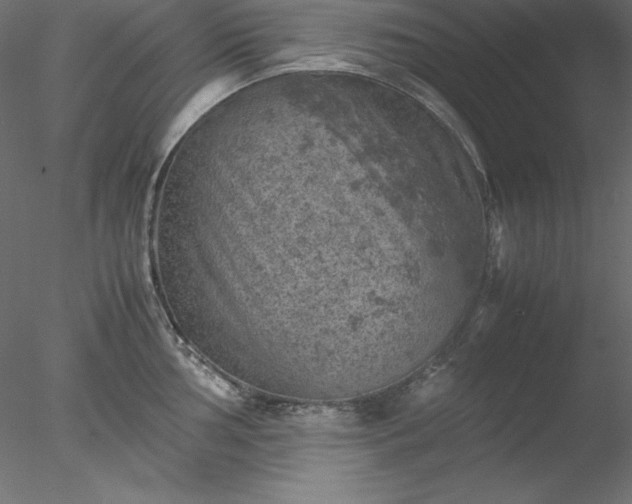 X0000077971002200611031329