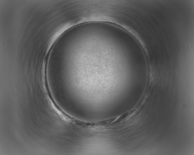 X0000077971006200611031329