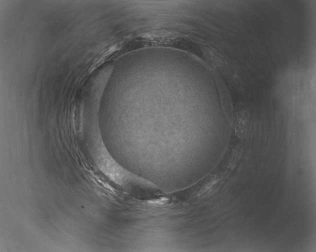 X0000077971010200611031328