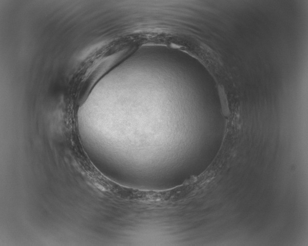 X0000077971014200611031328