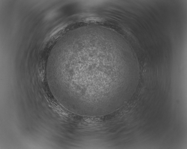 X0000077971015200611031328