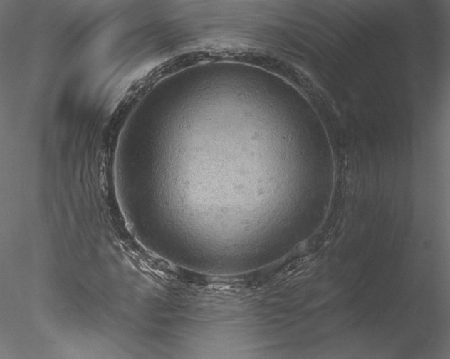 X0000077971016200611031328