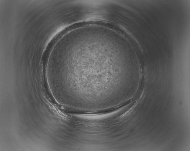 X0000077971021200611031328