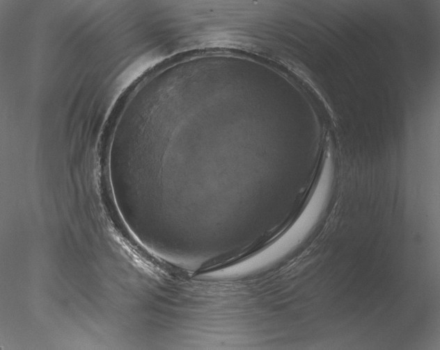 X0000077971024200611031328