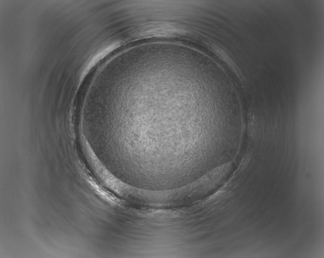 X0000077971026200611031328