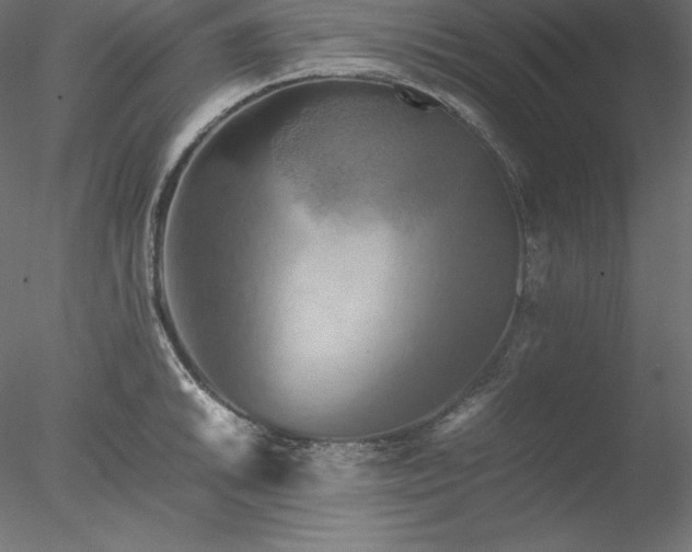 X0000077971046200611031328