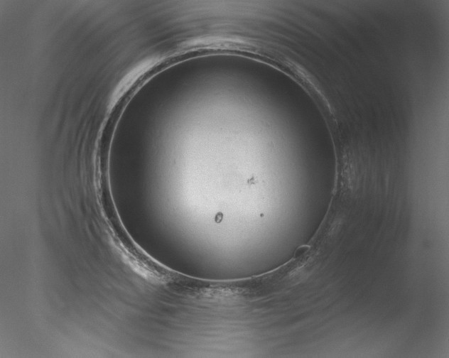 X0000077971082200611031327