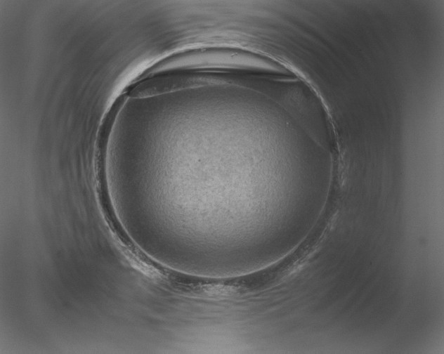 X0000077971085200611031327