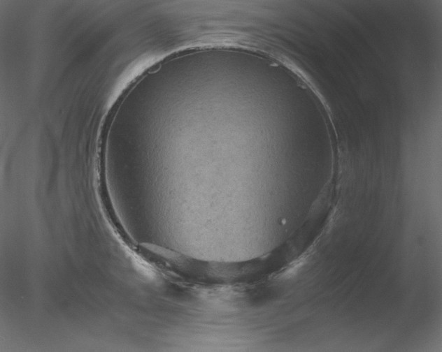 X0000077971093200611031327