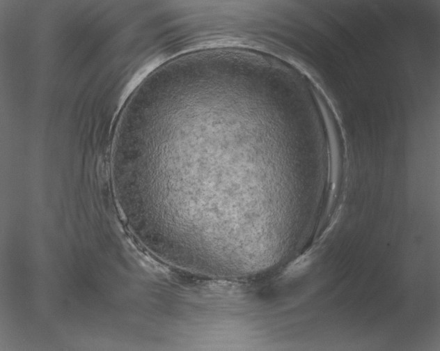 X0000077971097200611031327
