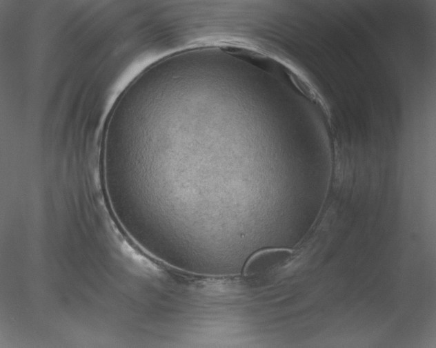 X0000077971102200611031327