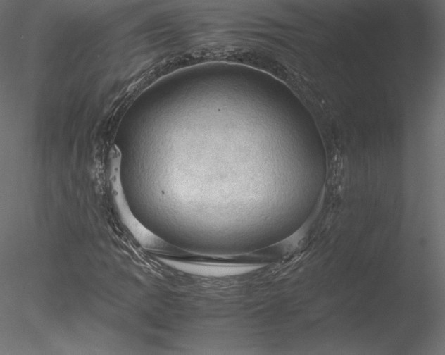 X0000077971109200611031326