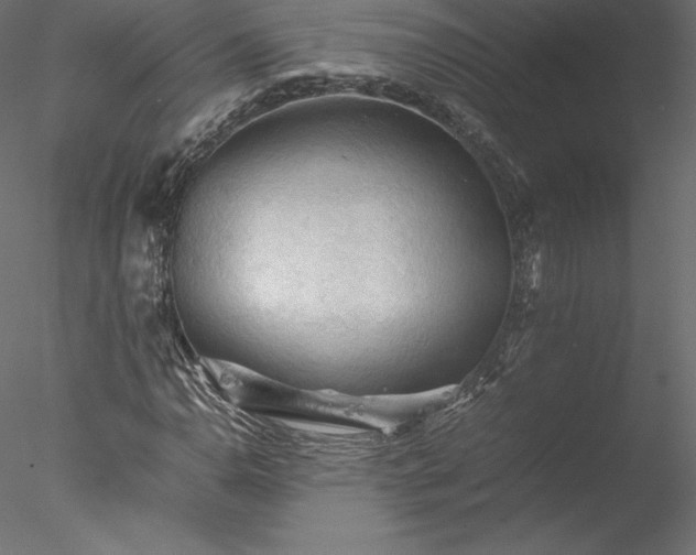 X0000077971110200611031326