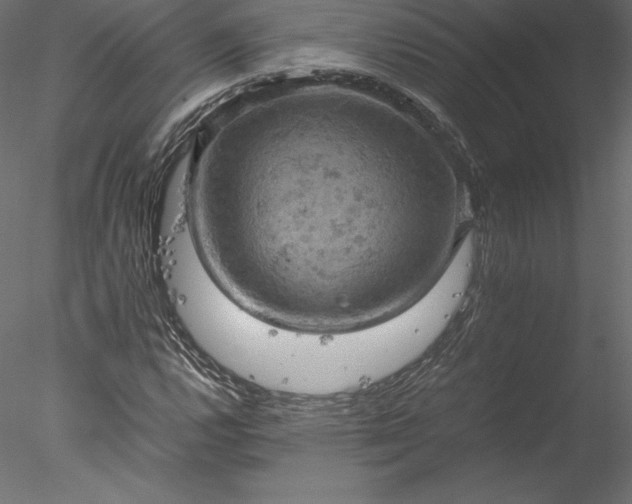 X0000077971112200611031326