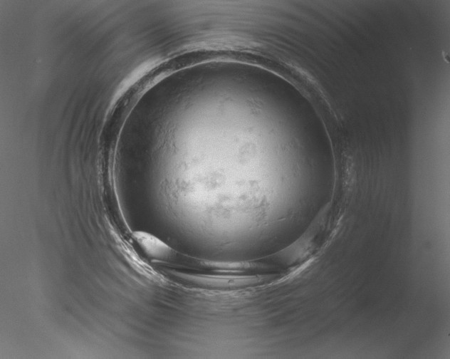 X0000077971114200611031326