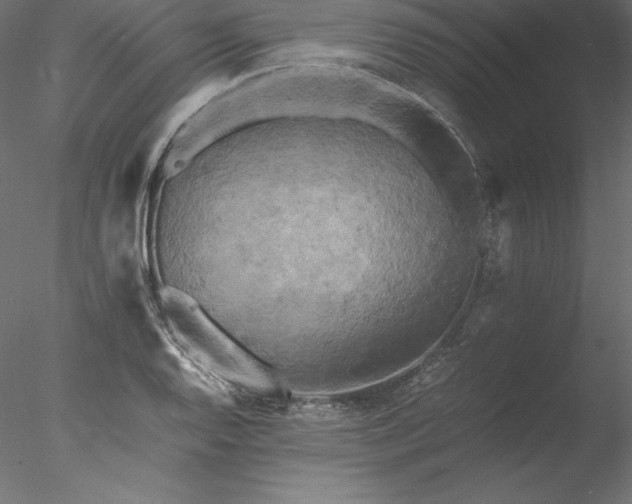 X0000077971128200611031327