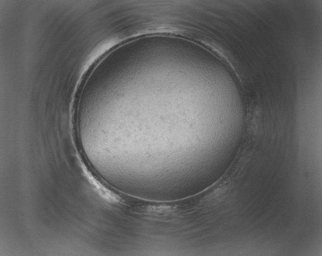 X0000077971135200611031327