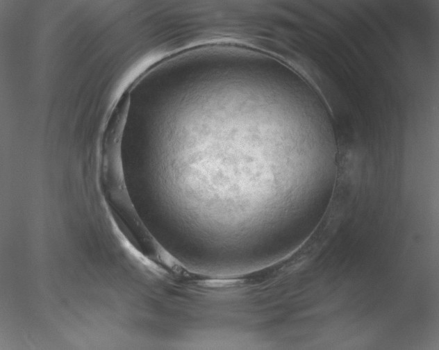 X0000077971151200611031327