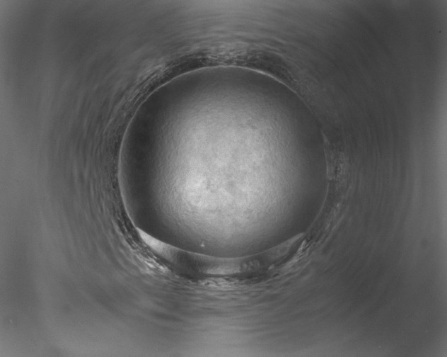 X0000077971153200611031326