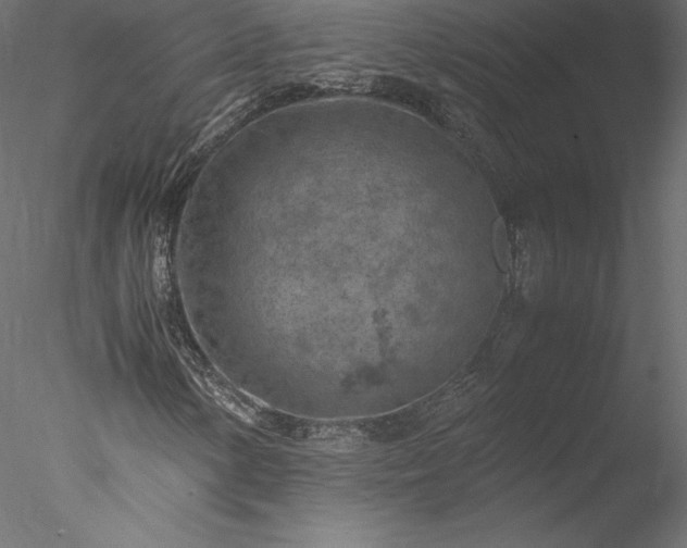 X0000077971154200611031326