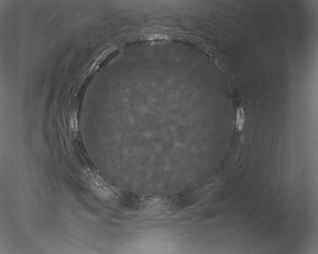 X0000077971155200611031326