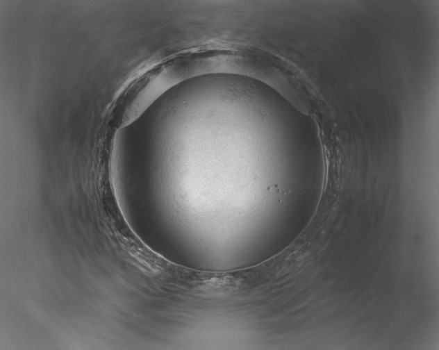 X0000077971160200611031326